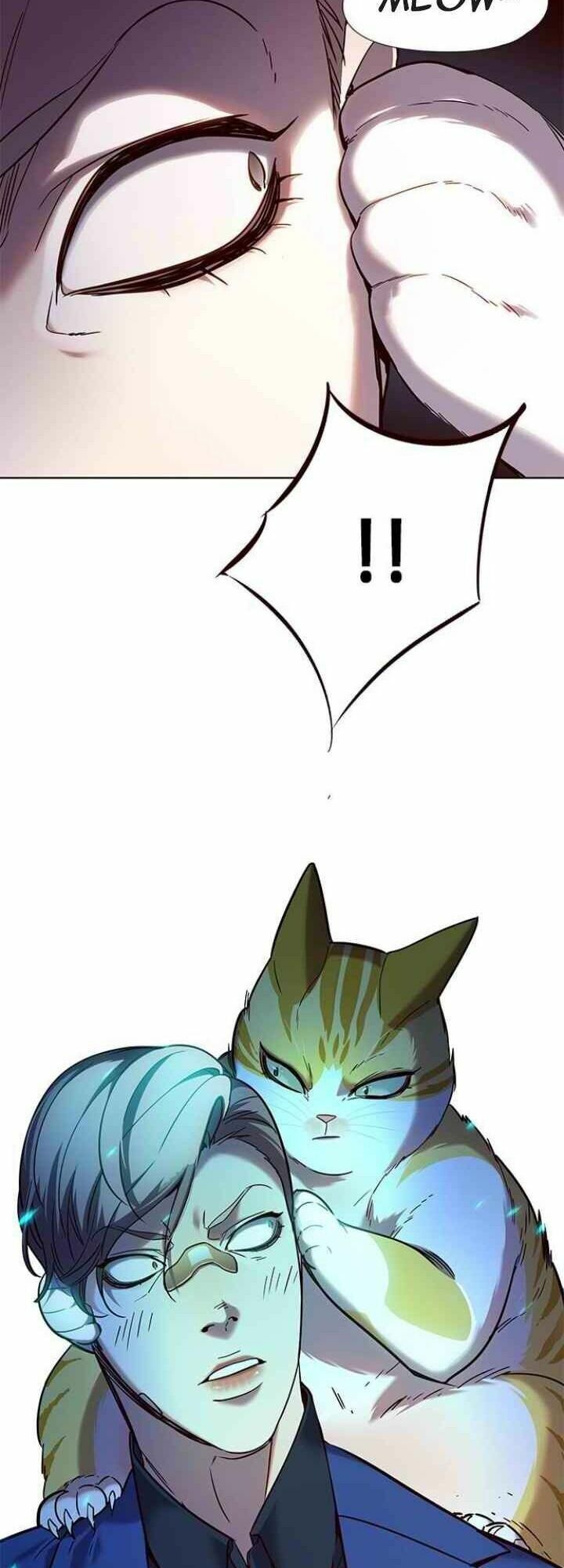 đọc truyện Hóa Thân Thành Mèo Chương 93 ảnh 54 tại Thiên Thai Truyện