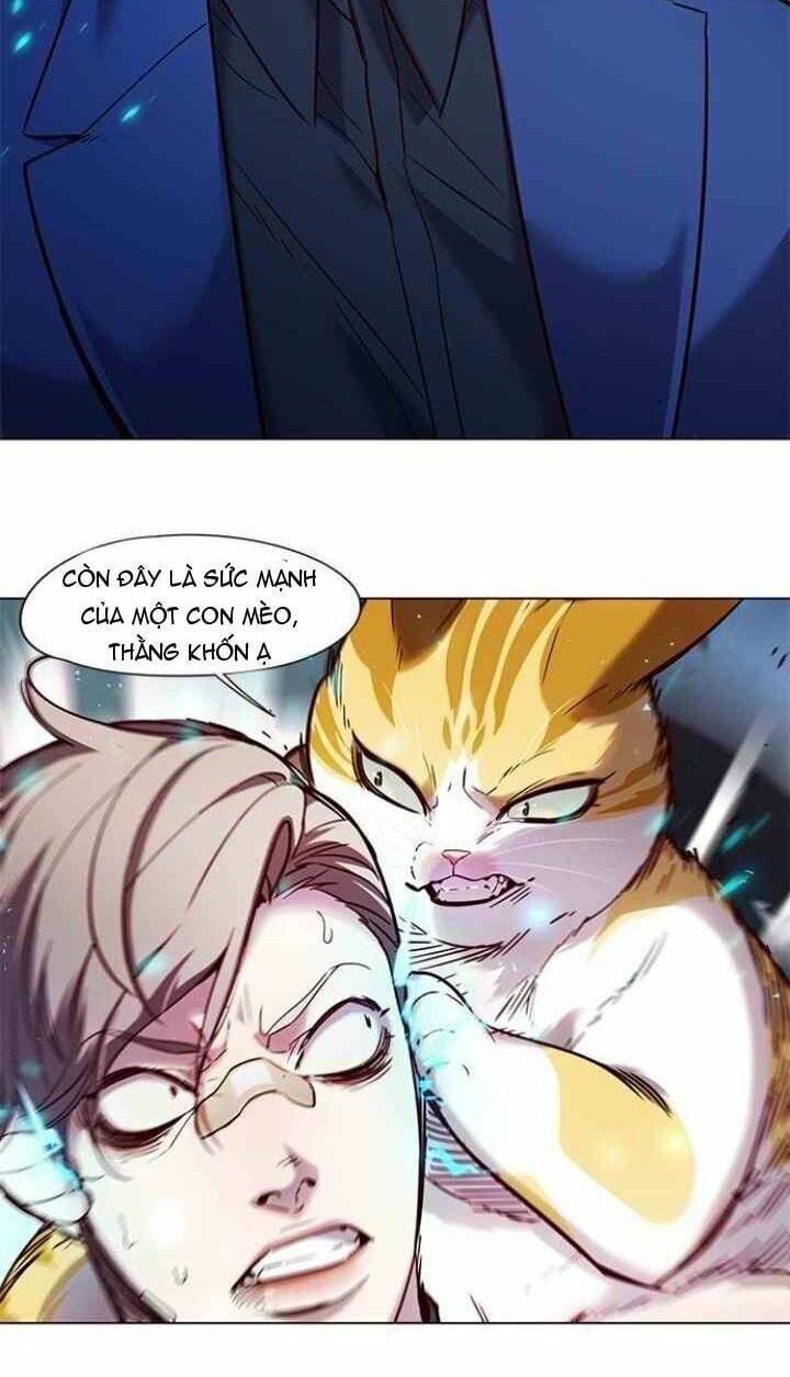 đọc truyện Hóa Thân Thành Mèo Chương 93 ảnh 55 tại Thiên Thai Truyện