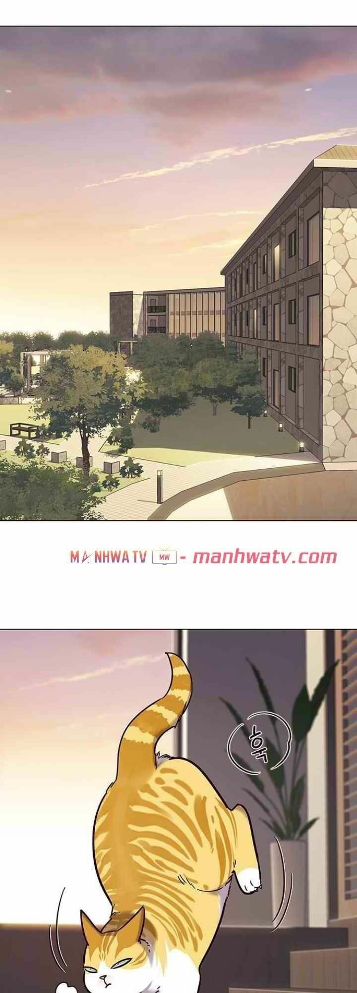 đọc truyện Hóa Thân Thành Mèo Chương 94 ảnh 17 tại Thiên Thai Truyện