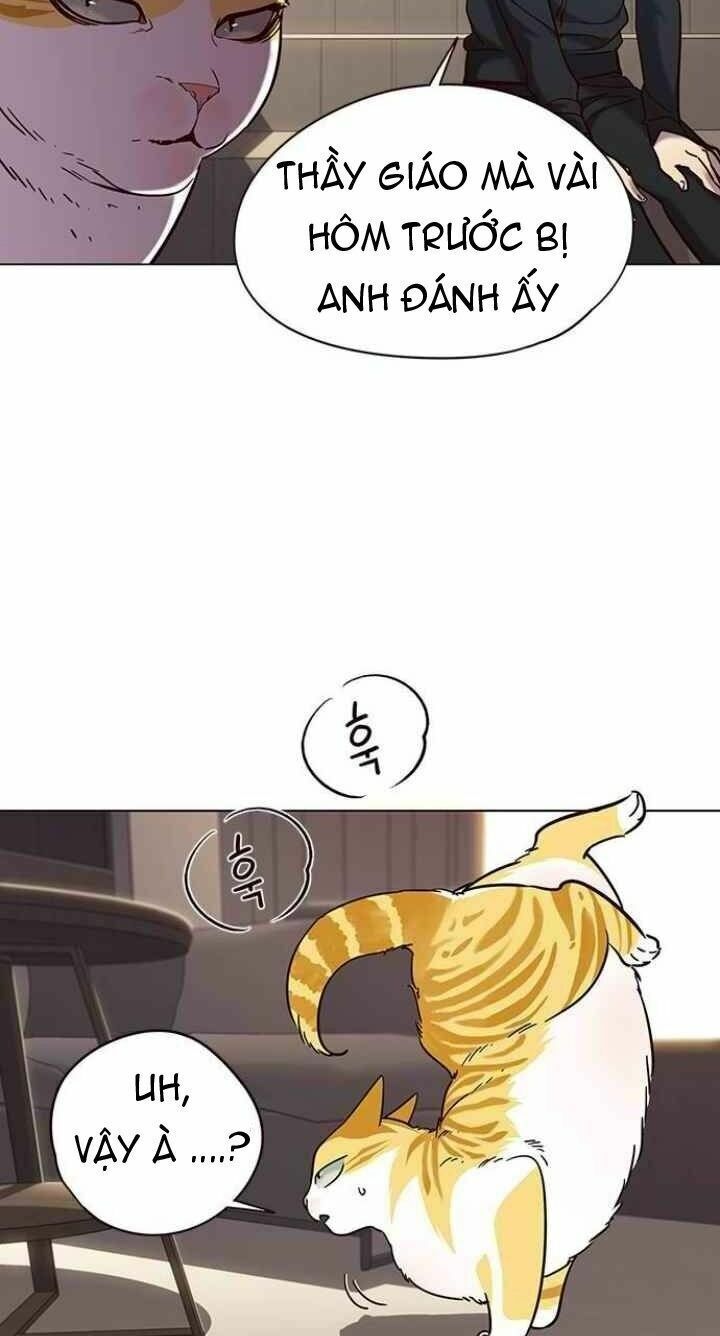 đọc truyện Hóa Thân Thành Mèo Chương 94 ảnh 19 tại Thiên Thai Truyện