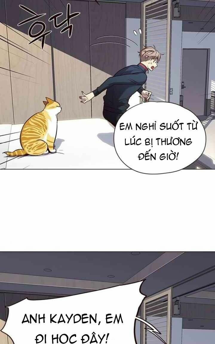 đọc truyện Hóa Thân Thành Mèo Chương 95 ảnh 34 tại Thiên Thai Truyện