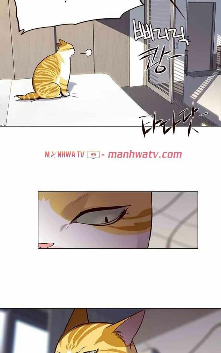 đọc truyện Hóa Thân Thành Mèo Chương 95 ảnh 35 tại Thiên Thai Truyện