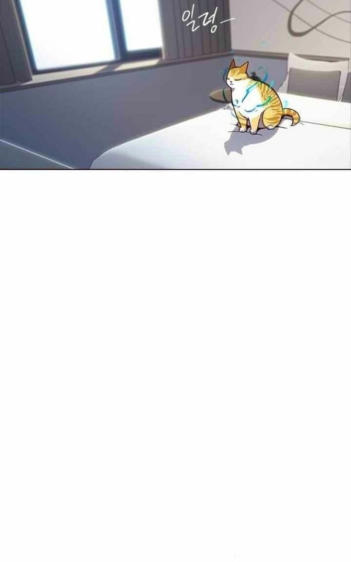 đọc truyện Hóa Thân Thành Mèo Chương 95 ảnh 38 tại Thiên Thai Truyện