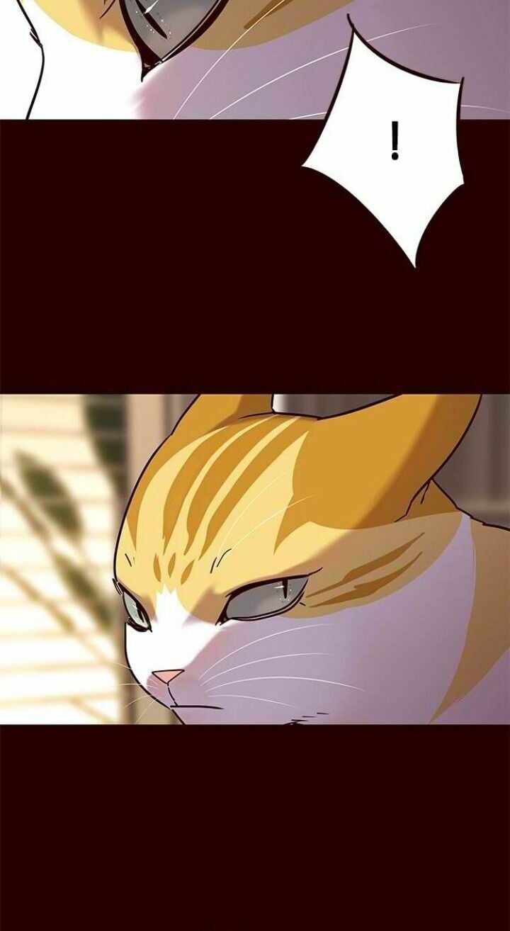 đọc truyện Hóa Thân Thành Mèo Chương 96 ảnh 13 tại Thiên Thai Truyện