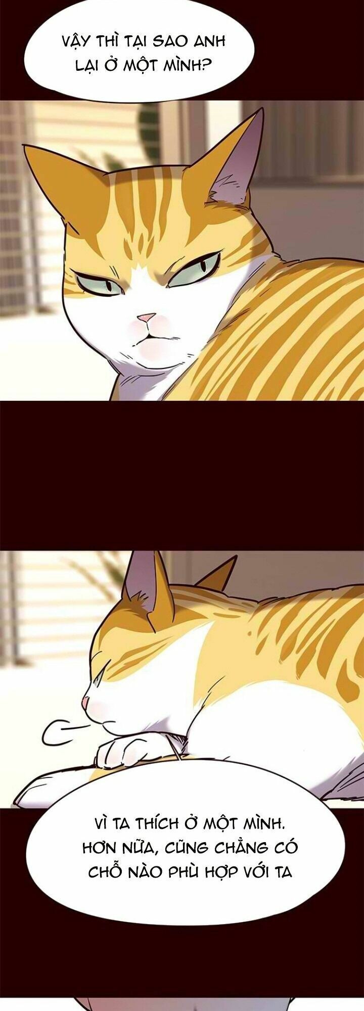 đọc truyện Hóa Thân Thành Mèo Chương 96 ảnh 16 tại Thiên Thai Truyện