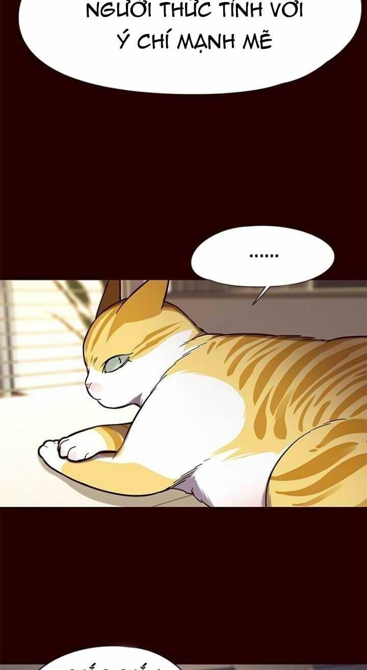 đọc truyện Hóa Thân Thành Mèo Chương 96 ảnh 18 tại Thiên Thai Truyện