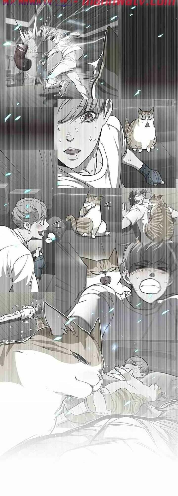 đọc truyện Hóa Thân Thành Mèo Chương 99 ảnh 55 tại Thiên Thai Truyện