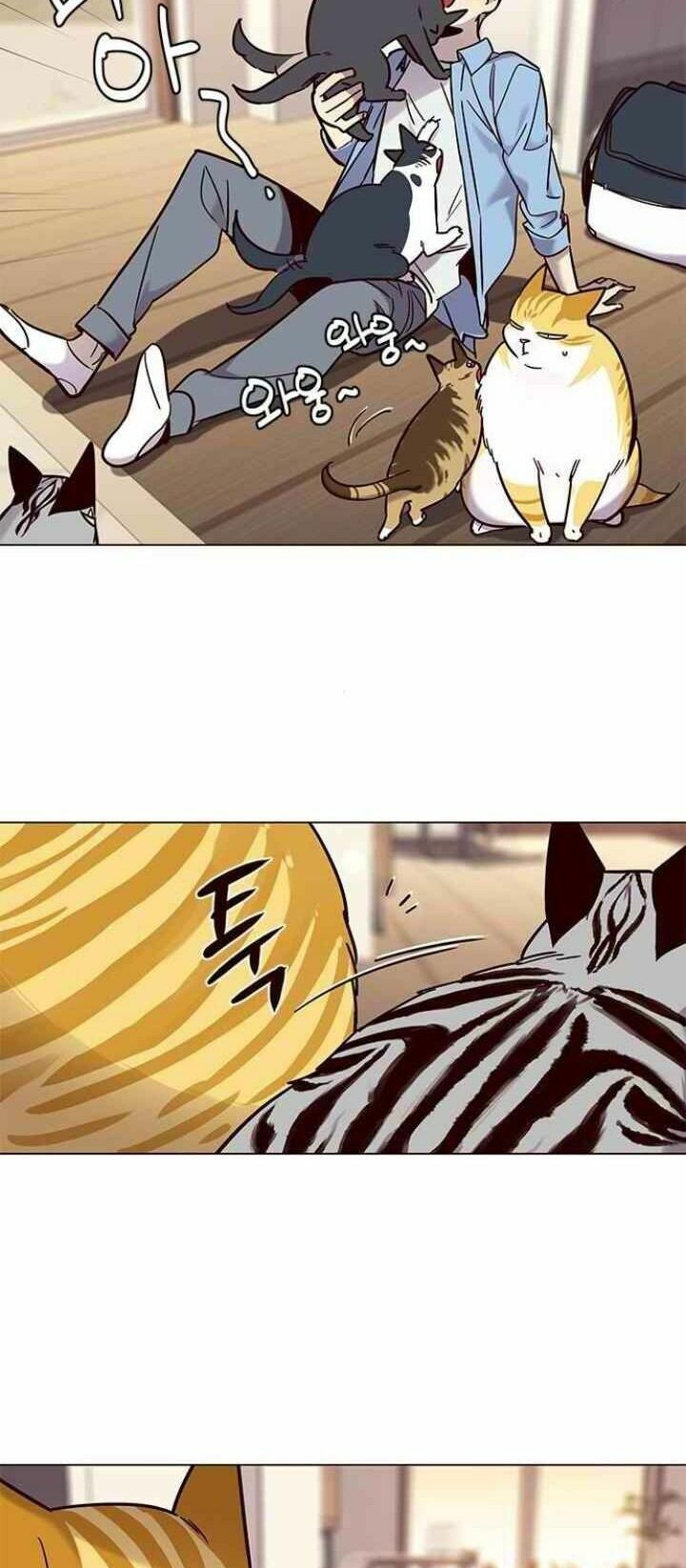 đọc truyện Hóa Thân Thành Mèo Chương 99 ảnh 67 tại Thiên Thai Truyện