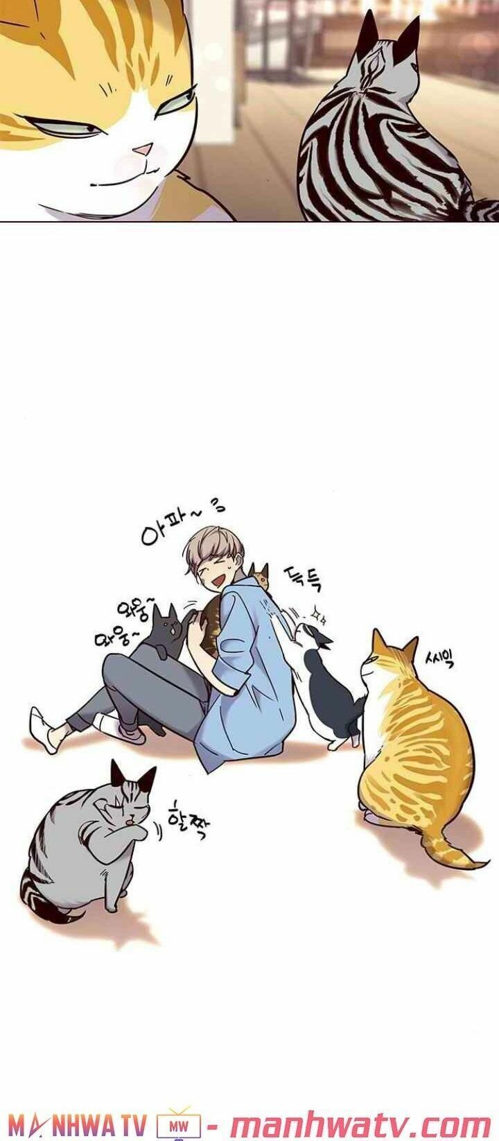 đọc truyện Hóa Thân Thành Mèo Chương 99 ảnh 68 tại Thiên Thai Truyện