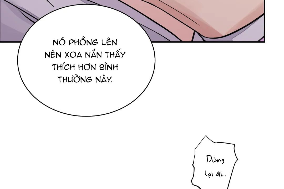 đọc truyện Hoa Và Gươm Chương 17 ảnh 73 tại Thiên Thai Truyện