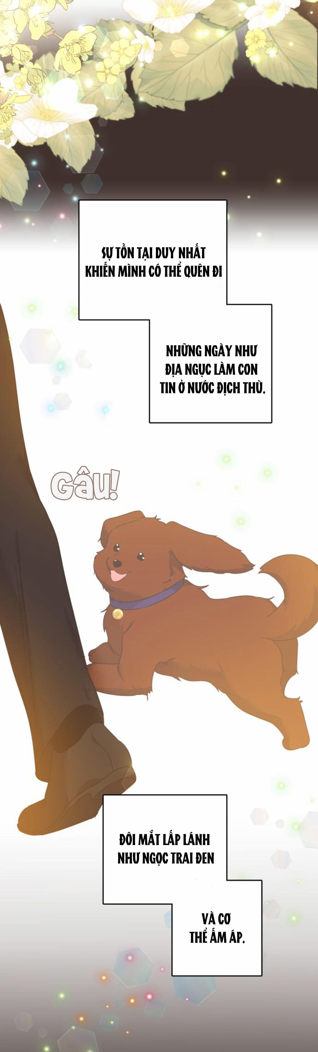 đọc truyện Hoán Đổi Linh Hồn Chương 25 ảnh 9 tại Thiên Thai Truyện