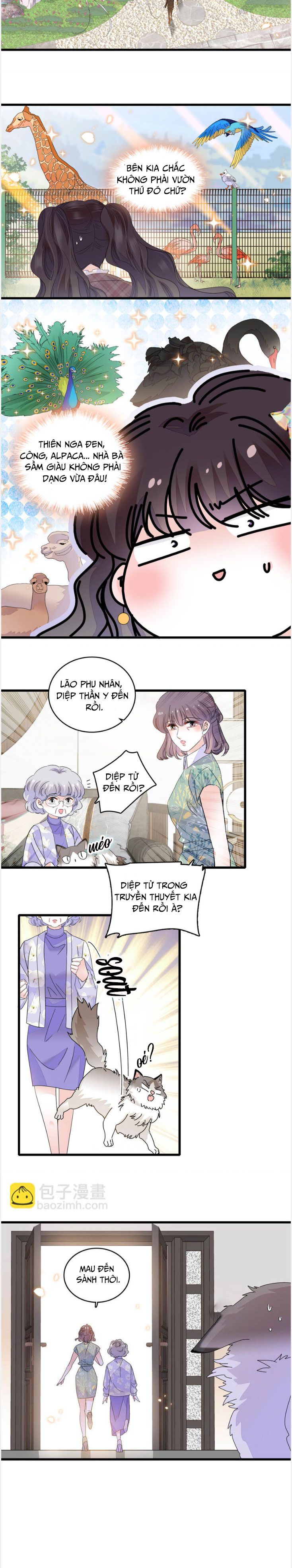 đọc truyện Hoán Đổi Vận Mệnh. Chồng Yêu Dám Cưới Em Dám Gả Chương 68 ảnh 8 tại Thiên Thai Truyện