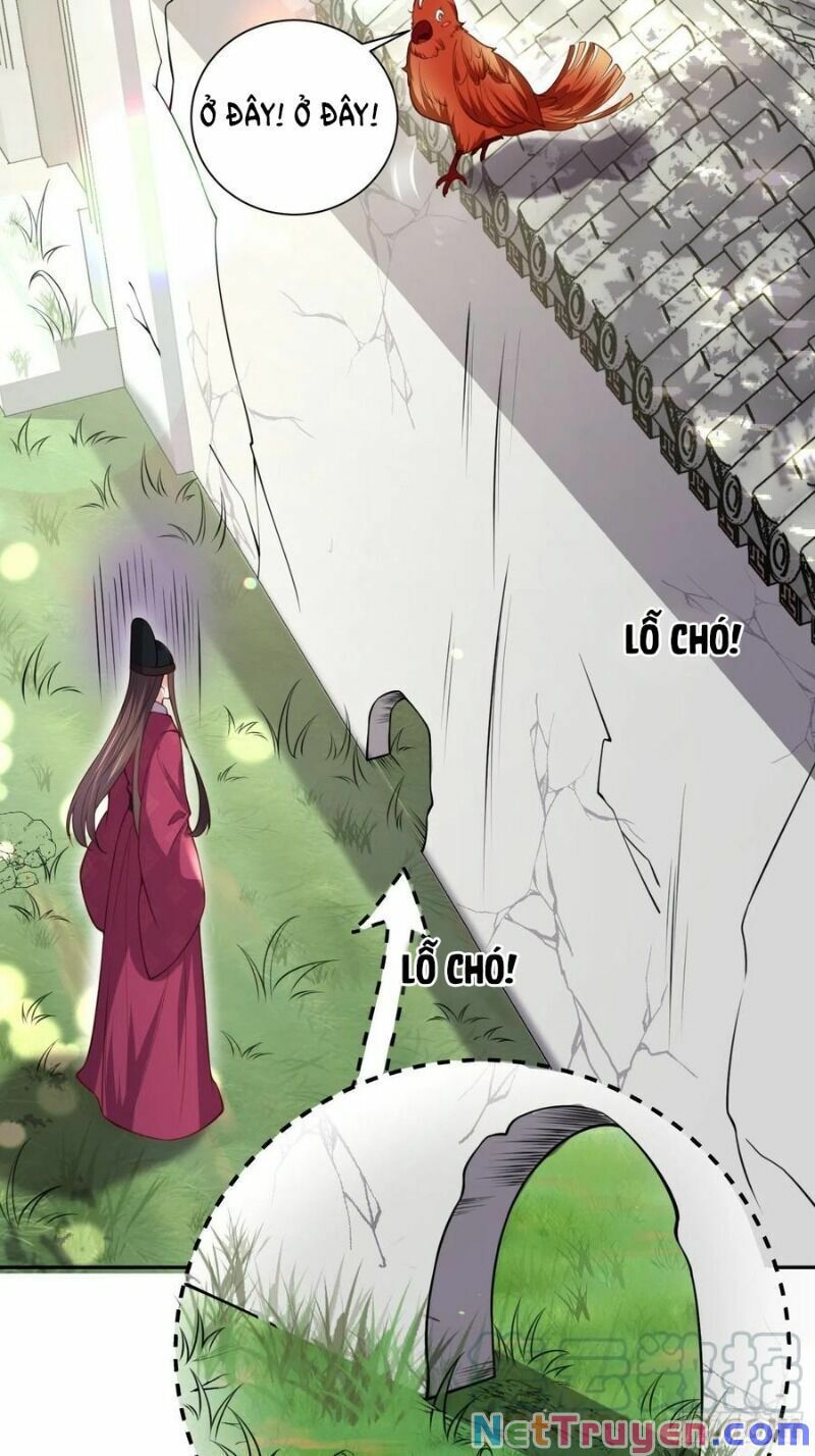 đọc truyện Hoạn Phi Thiên Hạ Chương 127 ảnh 28 tại Thiên Thai Truyện