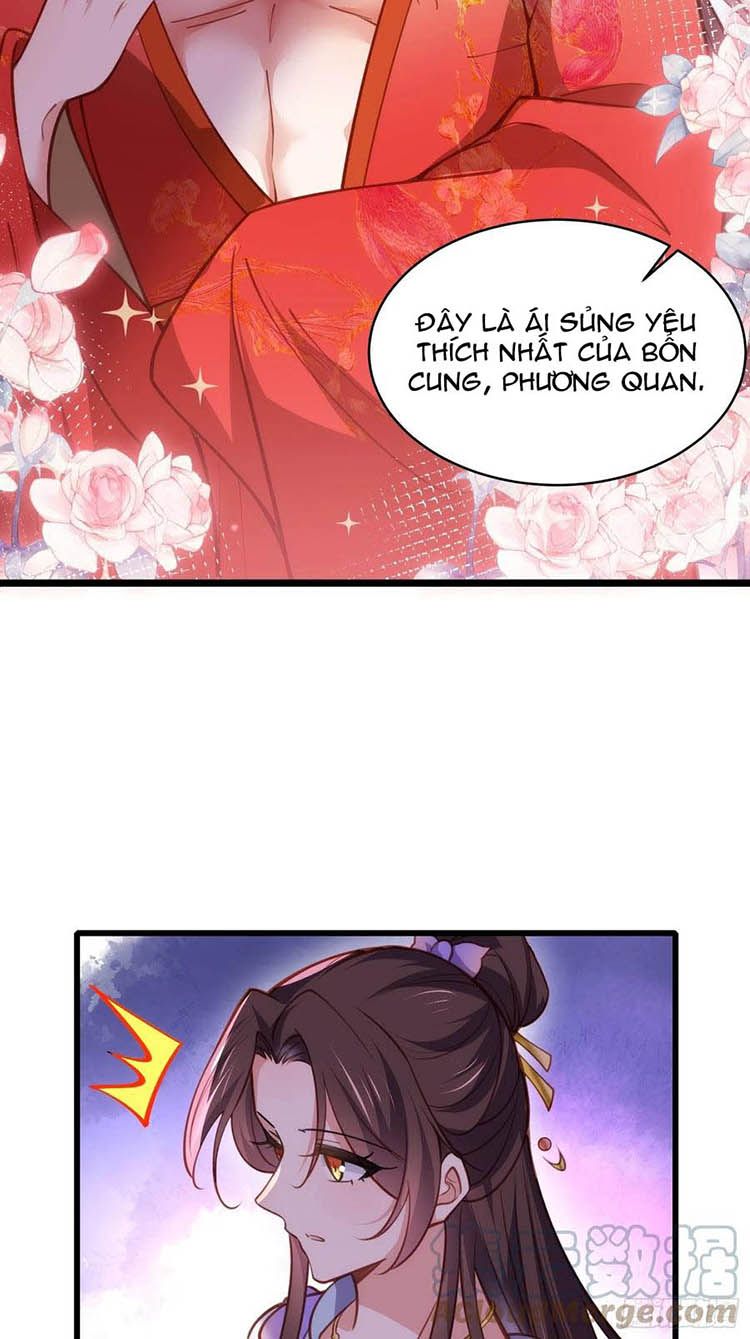 đọc truyện Hoạn Phi Thiên Hạ Chương 169 ảnh 28 tại Thiên Thai Truyện