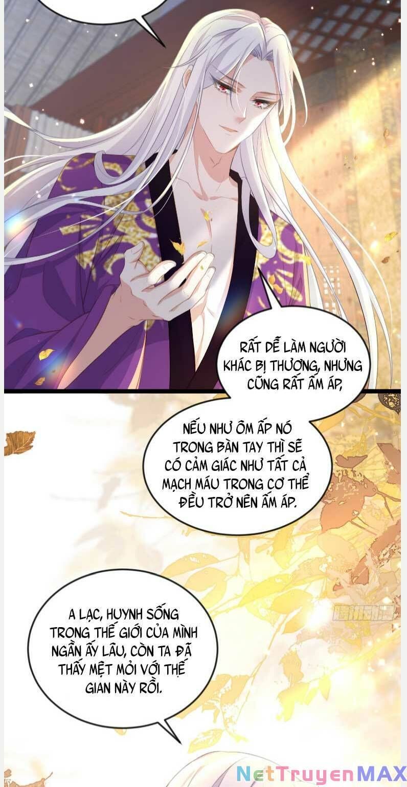 đọc truyện Hoạn Phi Thiên Hạ Chương 358 ảnh 12 tại Thiên Thai Truyện