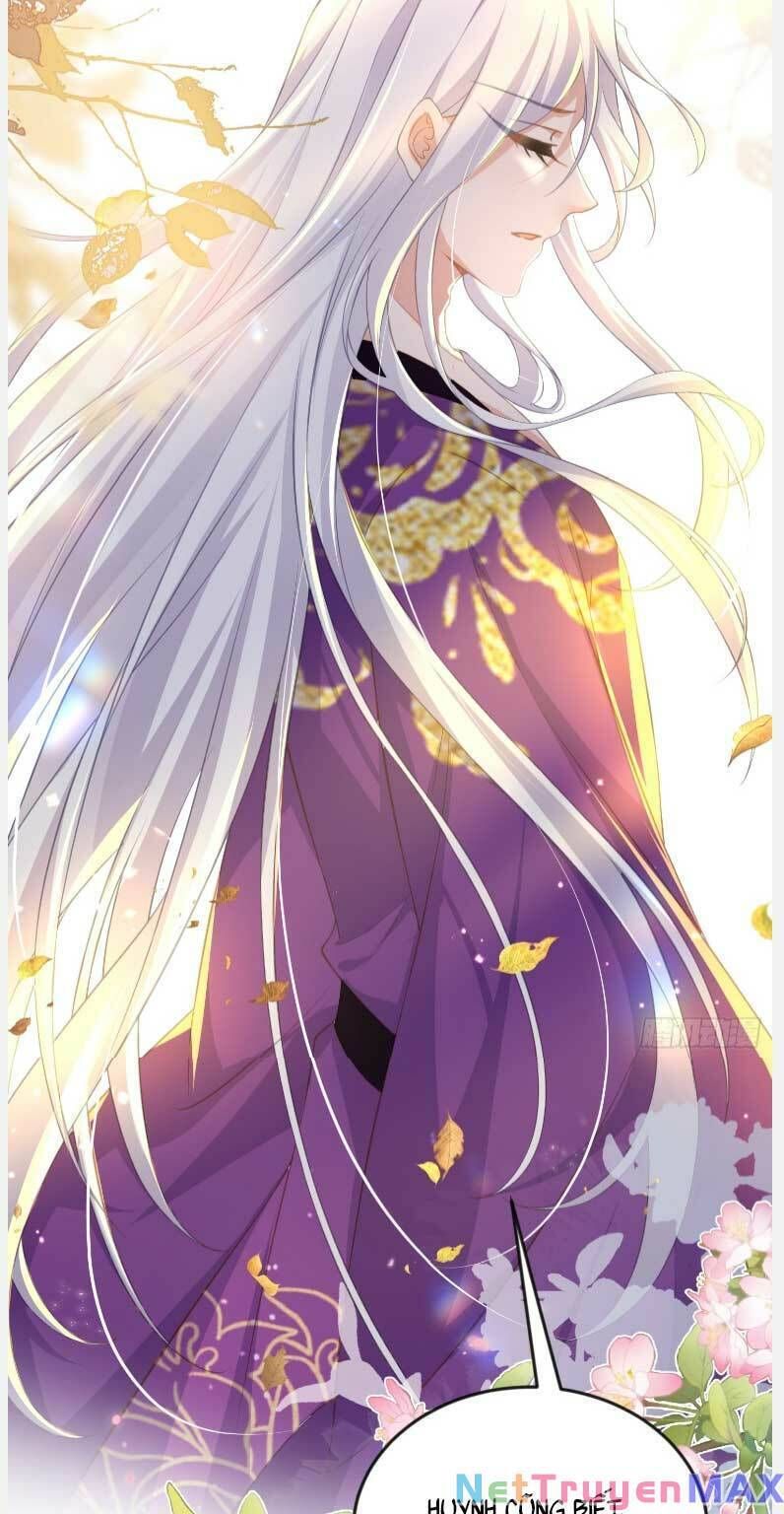 đọc truyện Hoạn Phi Thiên Hạ Chương 358 ảnh 13 tại Thiên Thai Truyện