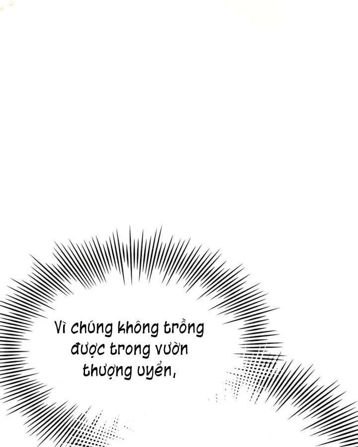 đọc truyện Hoàng Tử Bán Thuốc Chương 88 ảnh 124 tại Thiên Thai Truyện