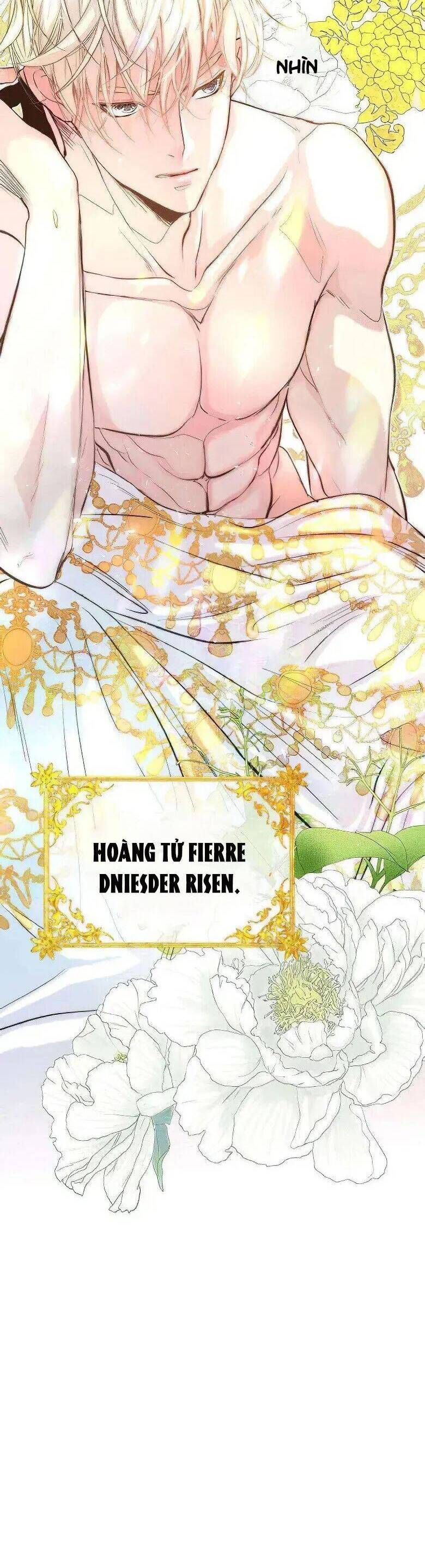 đọc truyện Hoàng Tử Có Vấn Đề Chương 2 ảnh 3 tại Giả Dược