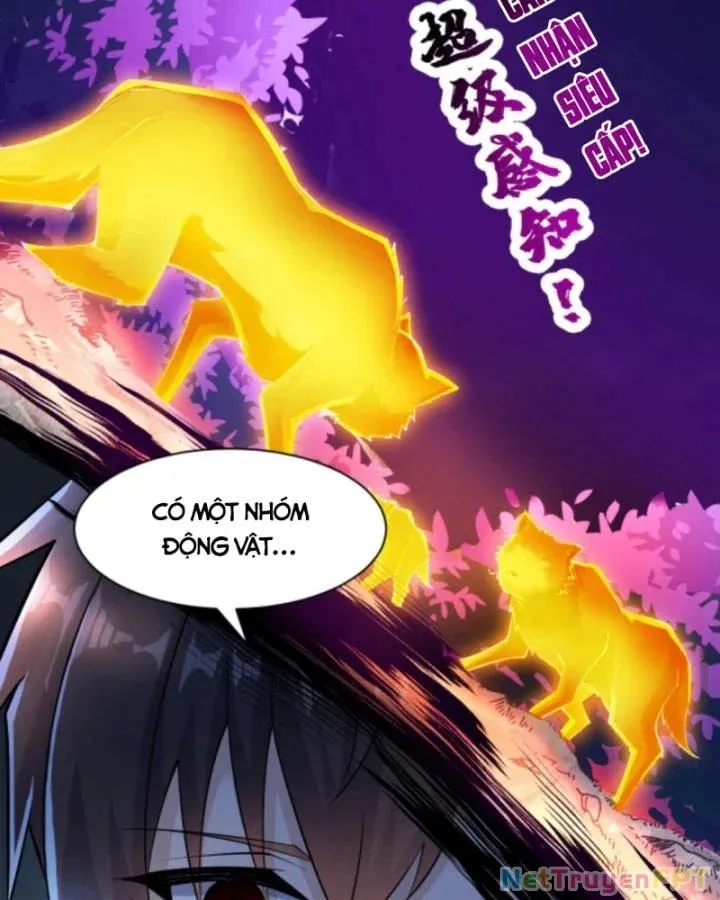 Học Cùng Em Gái, Không Cẩn Thận Trở Thành Vô Địch Chương 26 page 23 - Giả Dược