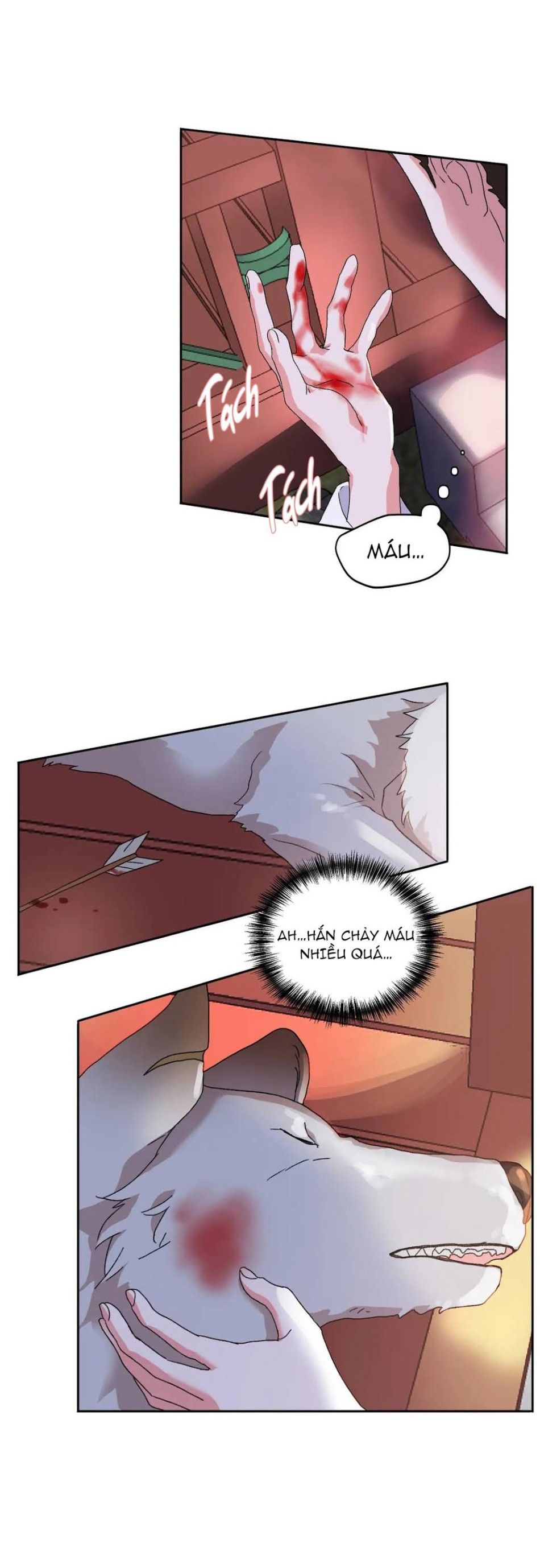 Học Giả Bán Nguyệt Chương 11 page 14 - Giả Dược
