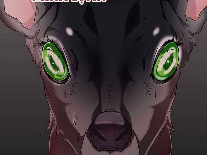 đọc truyện Học Viện Tối Thượng Chương 10 ảnh 162 tại Thiên Thai Truyện