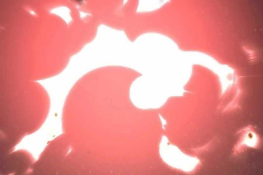 đọc truyện Học Viện Tối Thượng Chương 135 ảnh 157 tại Thiên Thai Truyện