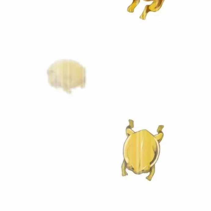 đọc truyện Hồi Quy Giả Chương 135 ảnh 19 tại Thiên Thai Truyện