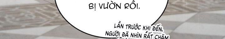 đọc truyện Hôm Nay Công Nương Toàn Năng Cũng Thấy Chán Nản Chương 33 ảnh 166 tại Thiên Thai Truyện