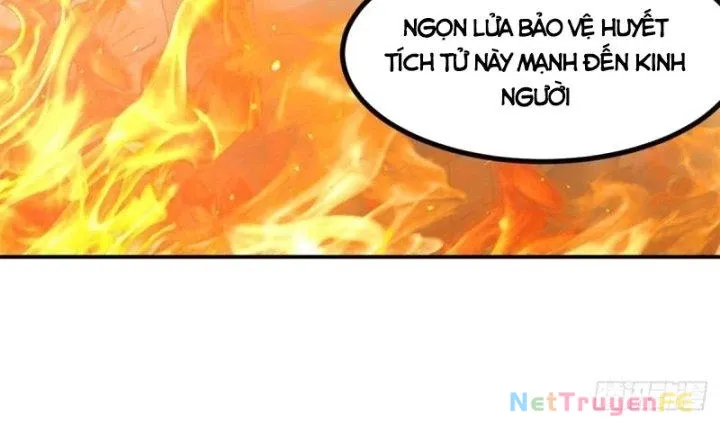 đọc truyện Hỗn Độn Đan Thần Chương 368 ảnh 19 tại Giả Dược