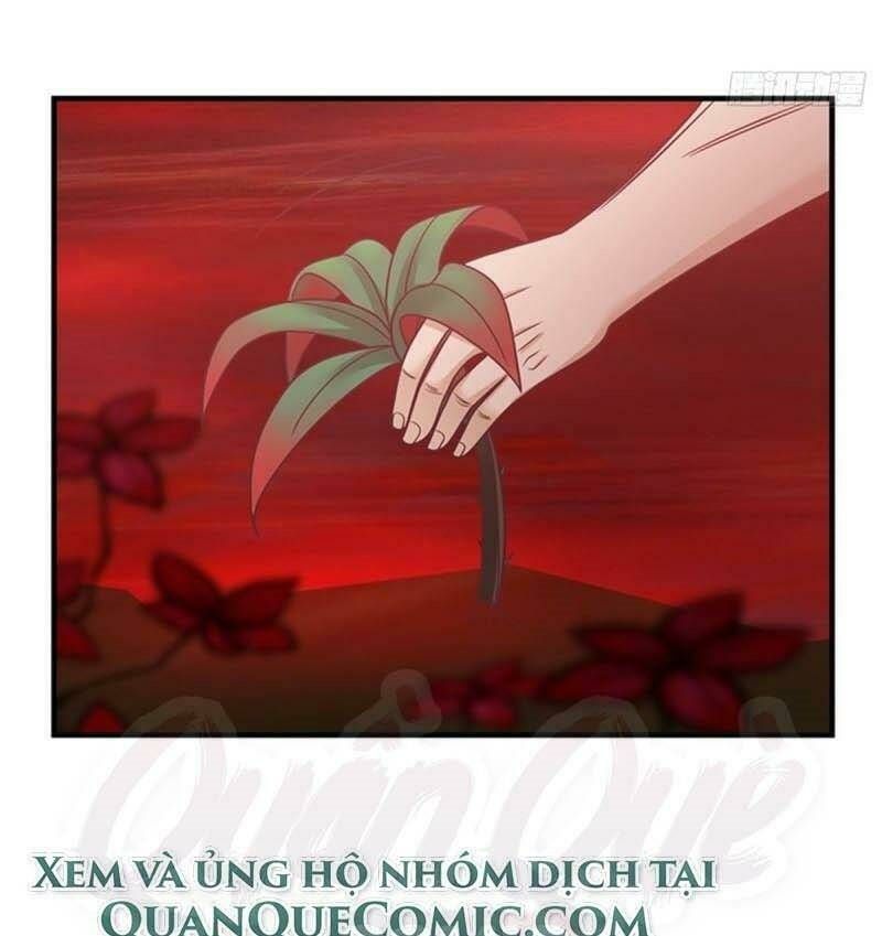 đọc truyện Hỗn Độn Đan Thần Chương 55 ảnh 26 tại Giả Dược