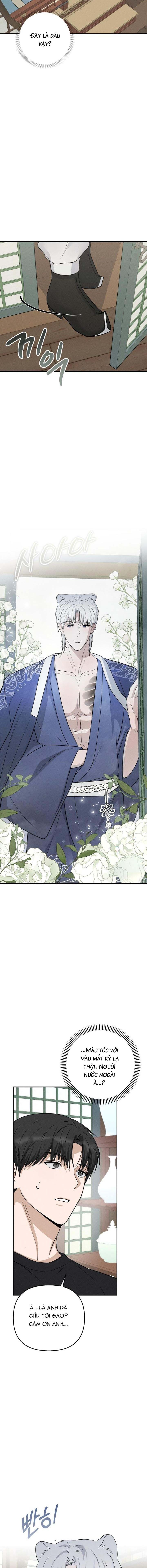 đọc truyện Hôn Lễ Của Sơn Quân Chương 1 ảnh 17 tại Thiên Thai Truyện