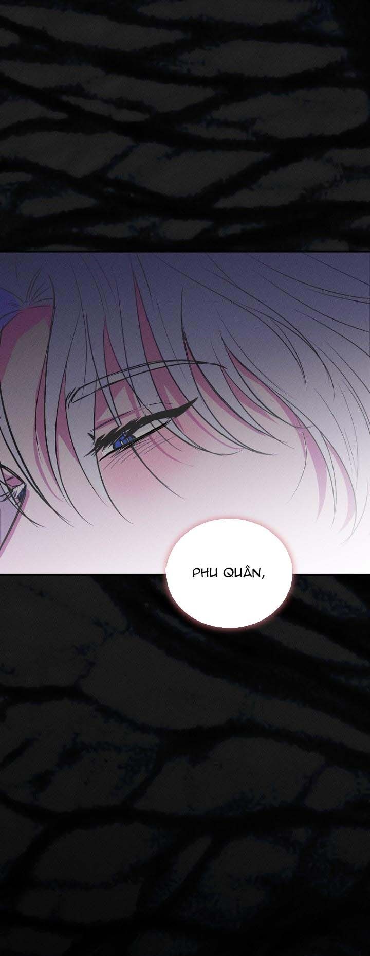 đọc truyện Hôn Lễ Của Sơn Quân Chương 1 ảnh 24 tại Thiên Thai Truyện