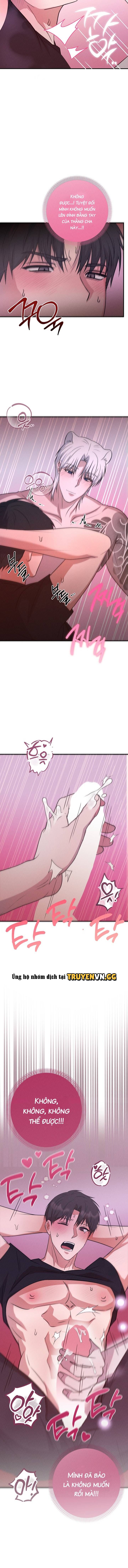 đọc truyện Hôn Lễ Của Sơn Quân Chương 2 ảnh 17 tại Thiên Thai Truyện