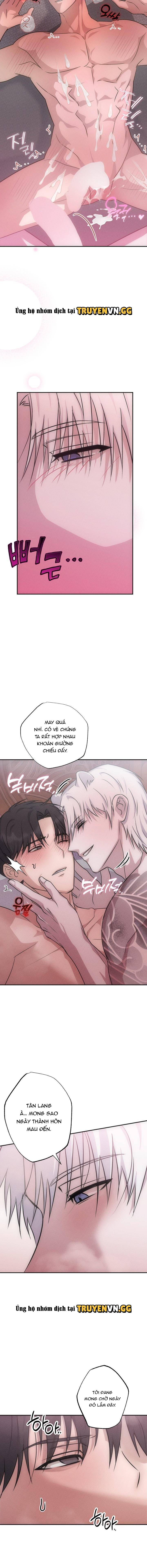 đọc truyện Hôn Lễ Của Sơn Quân Chương 3 ảnh 19 tại Thiên Thai Truyện