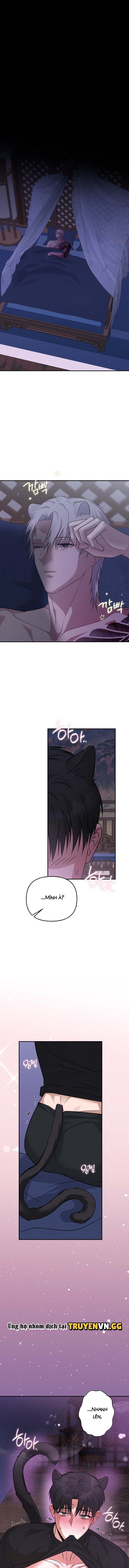 đọc truyện Hôn Lễ Của Sơn Quân Chương 5 ảnh 19 tại Thiên Thai Truyện