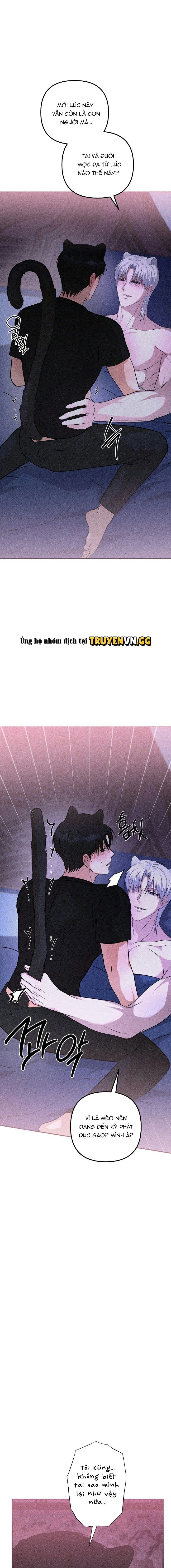 đọc truyện Hôn Lễ Của Sơn Quân Chương 6 ảnh 4 tại Thiên Thai Truyện