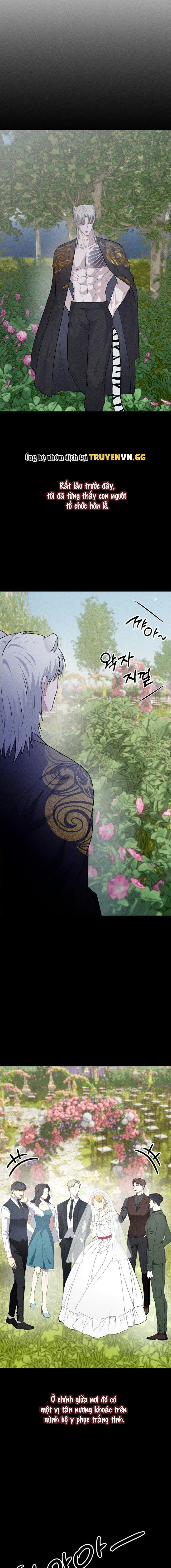 đọc truyện Hôn Lễ Của Sơn Quân Chương 9 ảnh 13 tại Thiên Thai Truyện