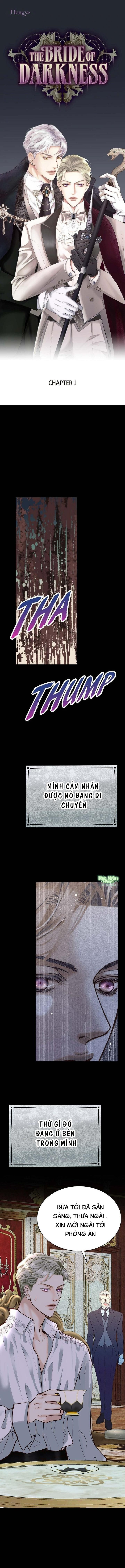 đọc truyện Hôn Thê Của Bóng Tối Chương 1 ảnh 3 tại Thiên Thai Truyện