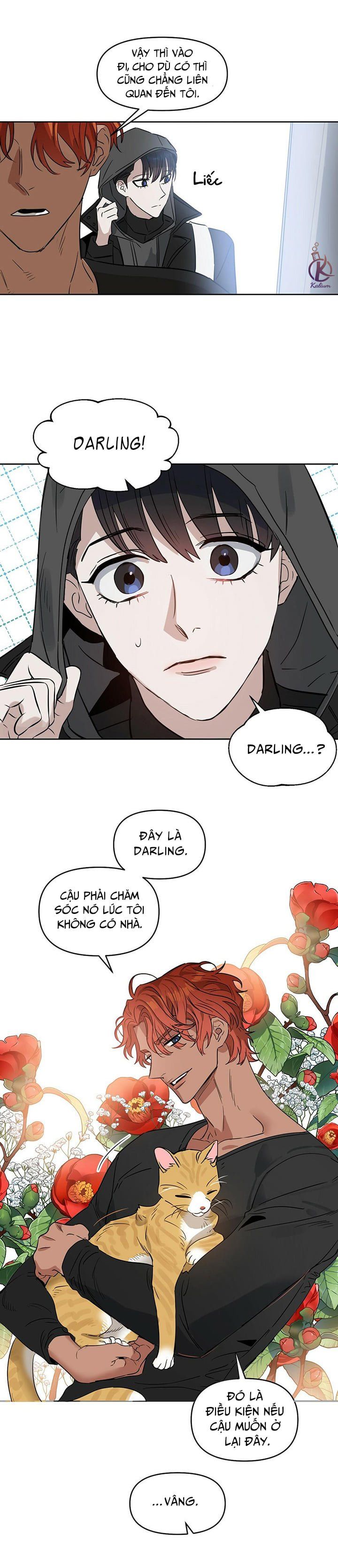 đọc truyện Hôn Tôi Đi, Đồ Dối Trá Chương 36 ảnh 24 tại Thiên Thai Truyện