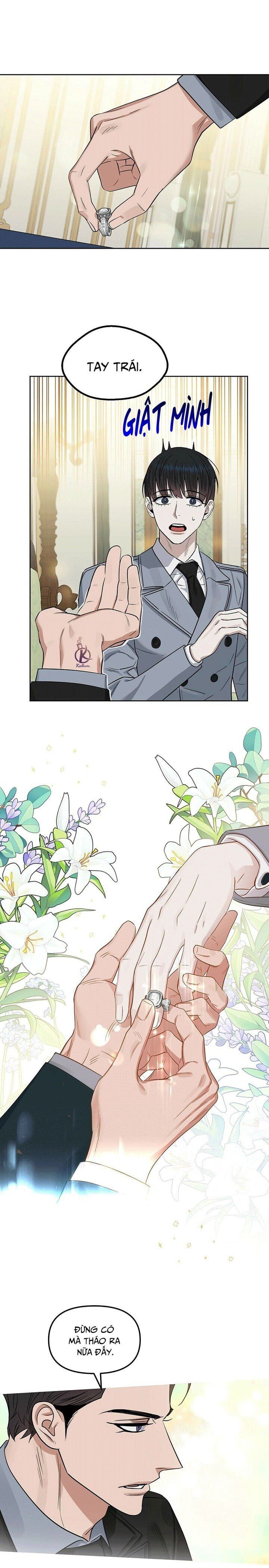 đọc truyện Hôn Tôi Đi, Đồ Dối Trá Chương 65 ảnh 11 tại Thiên Thai Truyện