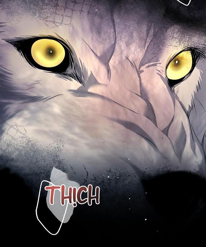 đọc truyện Hôn Tôi Nếu Có Thể Chương 23 ảnh 7 tại Thiên Thai Truyện