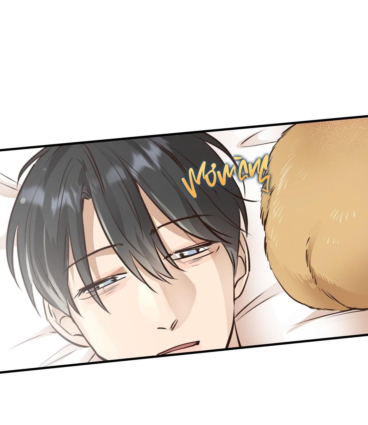 đọc truyện Honey Bear Chương 29 ảnh 56 tại Giả Dược