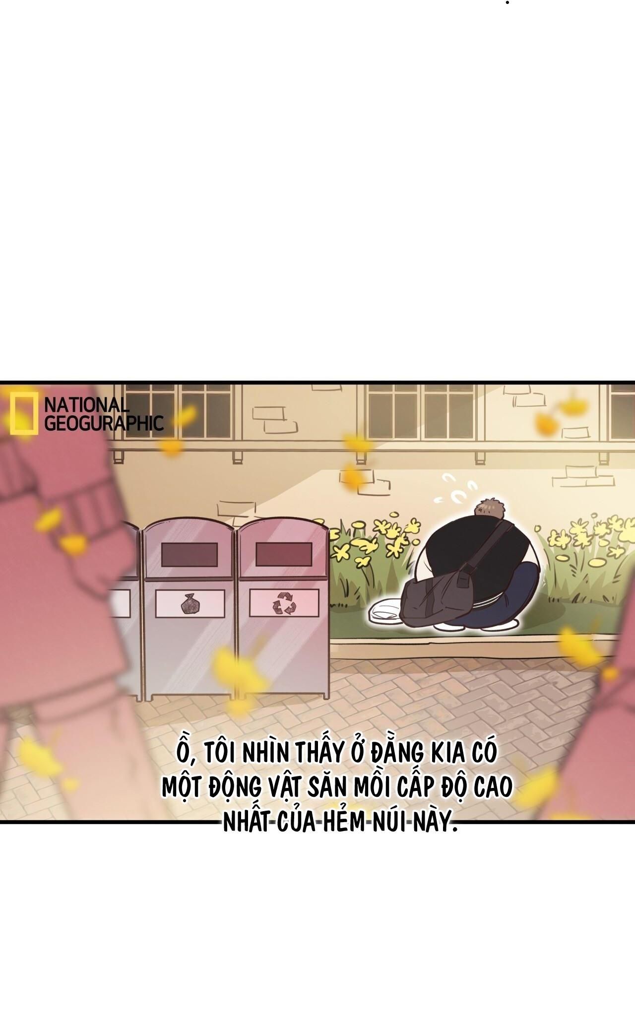 đọc truyện Honey Bear Chương 31 ảnh 6 tại Giả Dược
