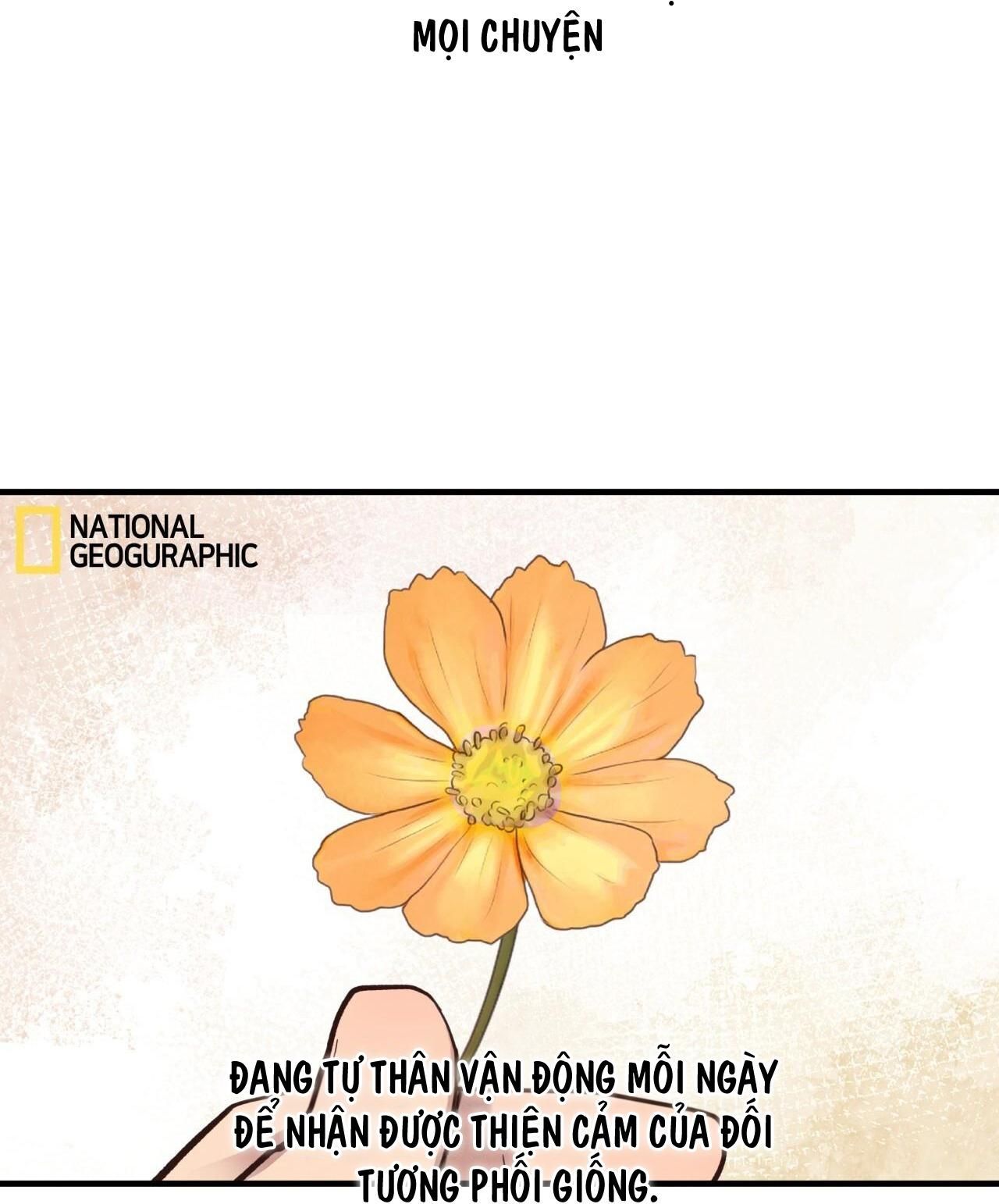 đọc truyện Honey Bear Chương 31 ảnh 9 tại Giả Dược