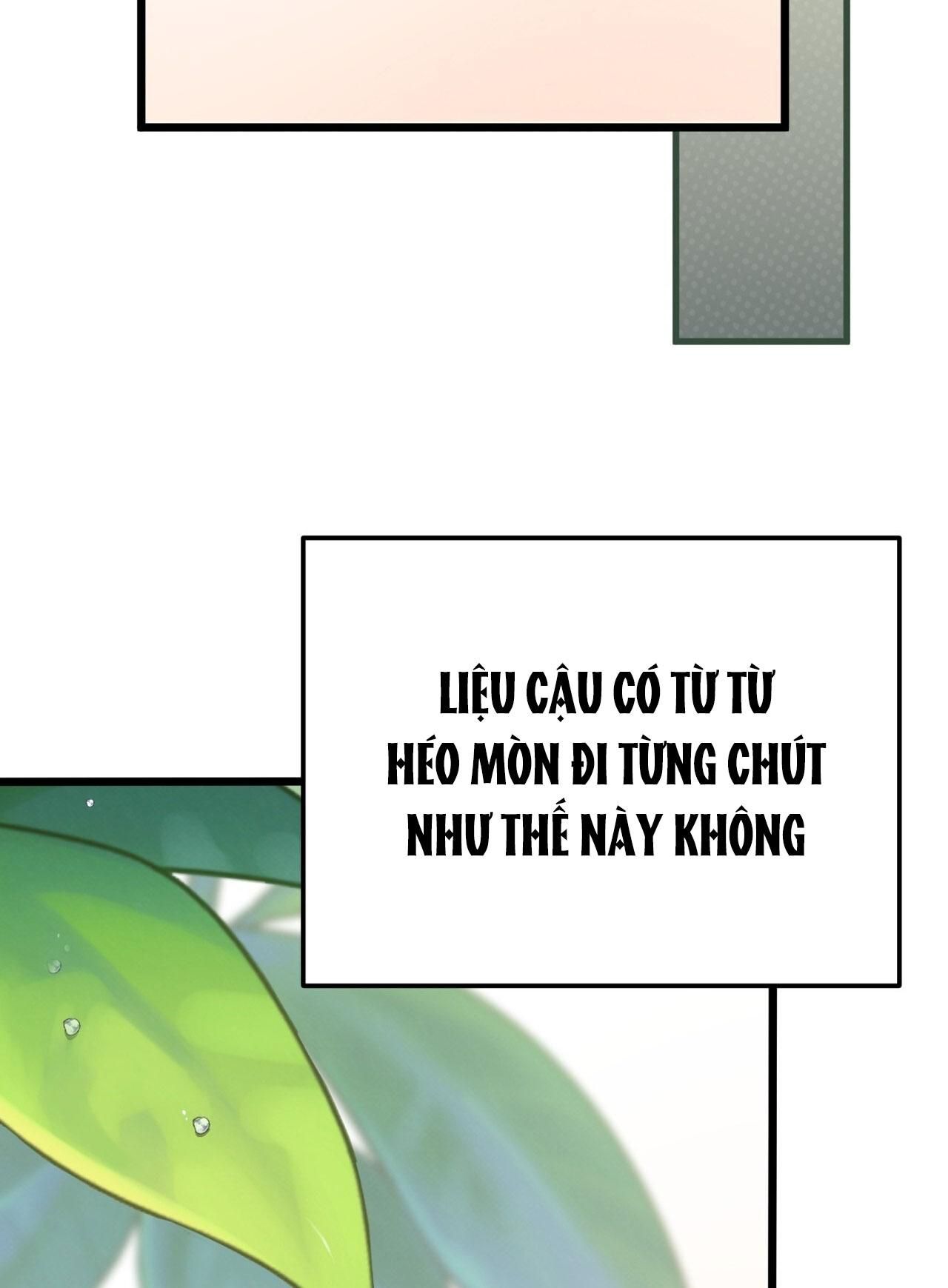 đọc truyện Honey Bear Chương 63 ảnh 91 tại Giả Dược