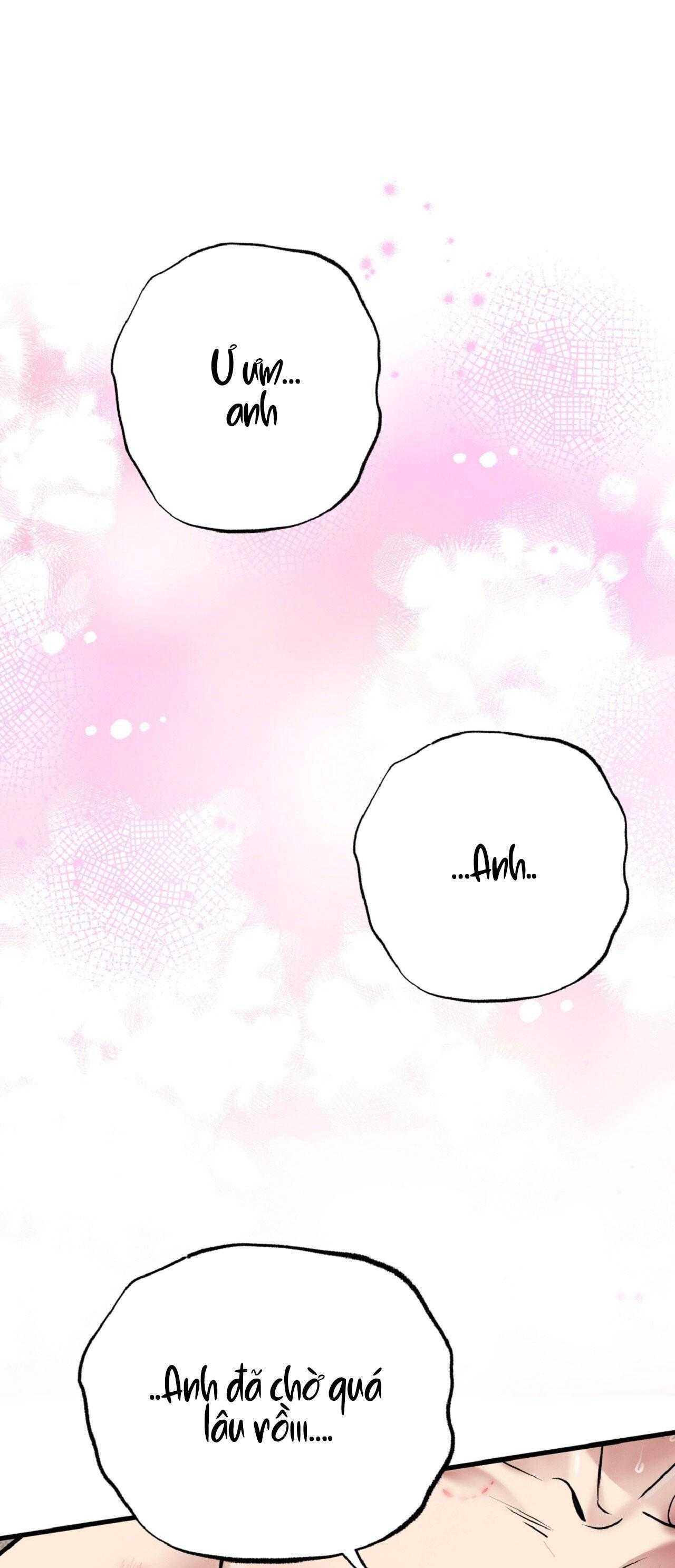 đọc truyện Honey Bear Chương 66 ảnh 36 tại Thiên Thai Truyện