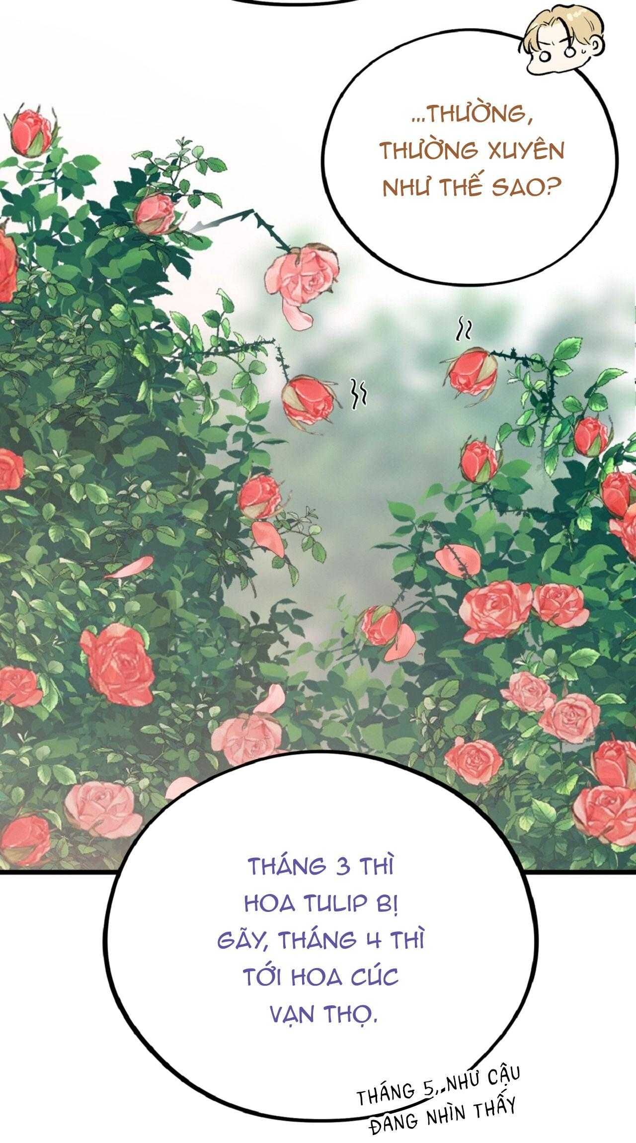 đọc truyện Honey Bear Chương 70 ảnh 38 tại Thiên Thai Truyện