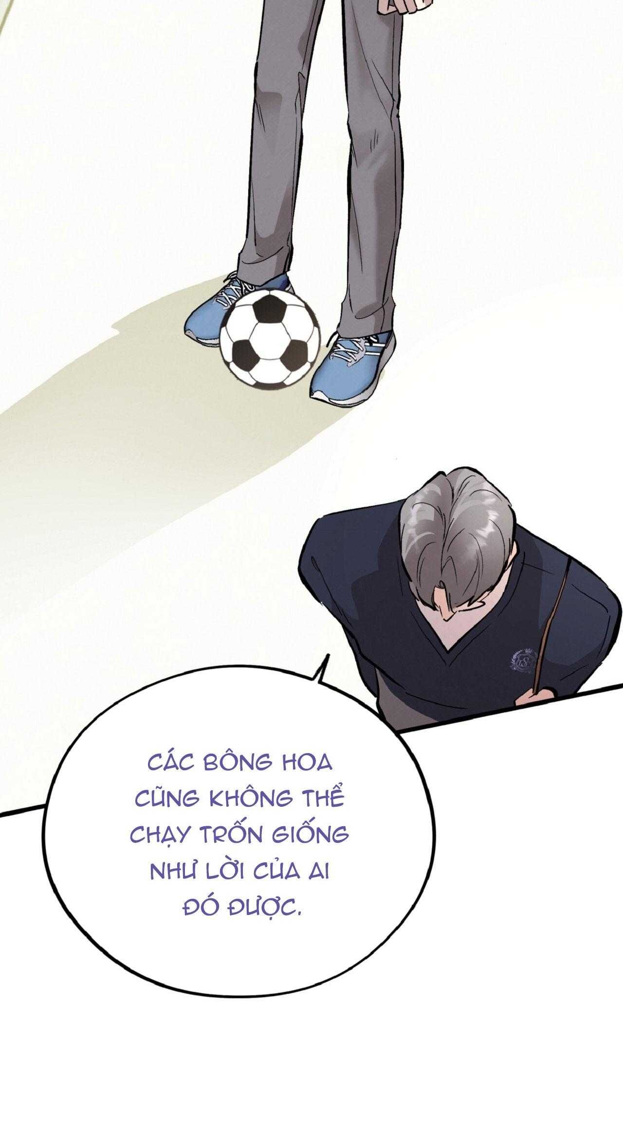 đọc truyện Honey Bear Chương 70 ảnh 40 tại Thiên Thai Truyện