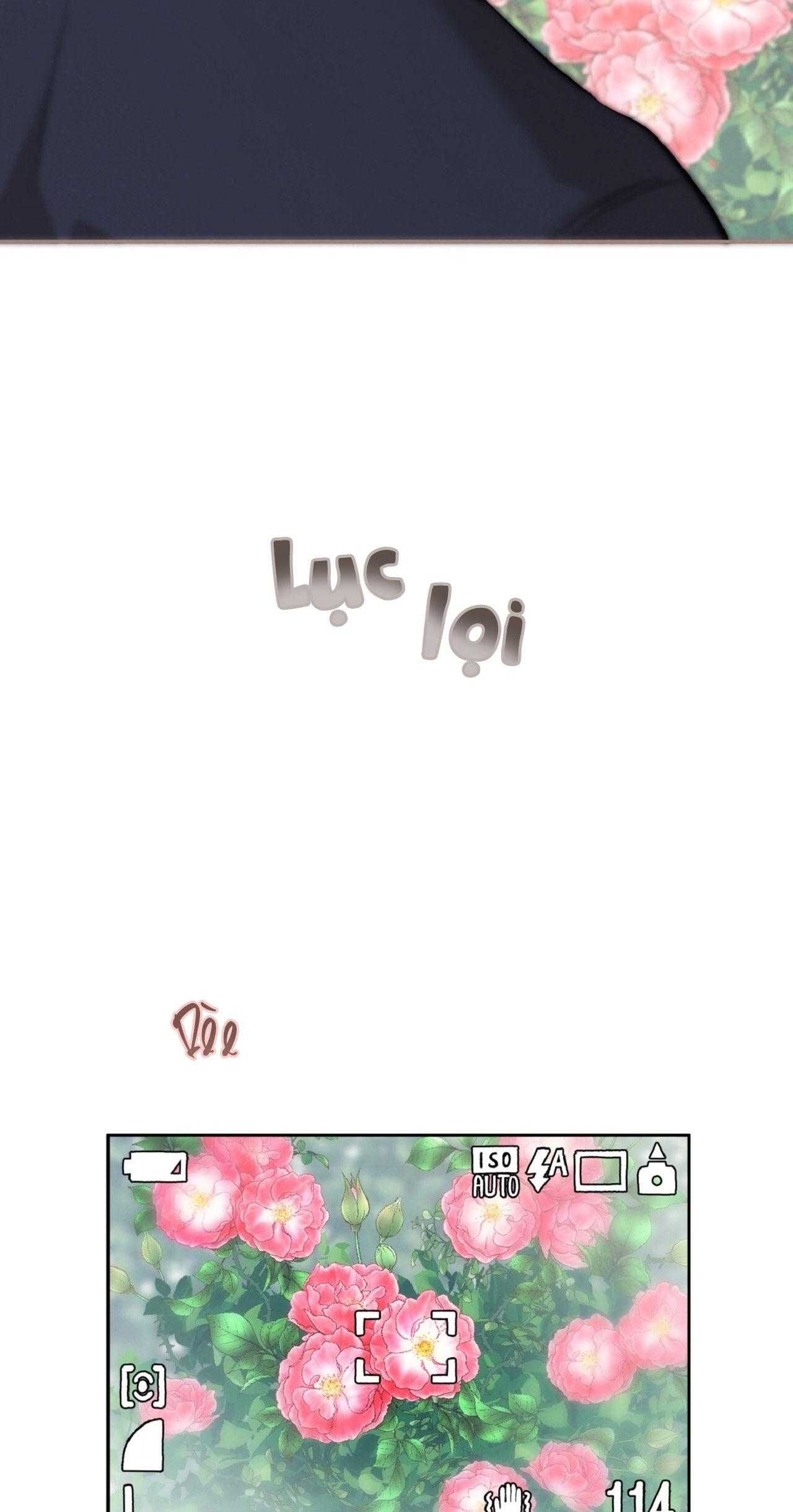 đọc truyện Honey Bear Chương 70 ảnh 65 tại Thiên Thai Truyện