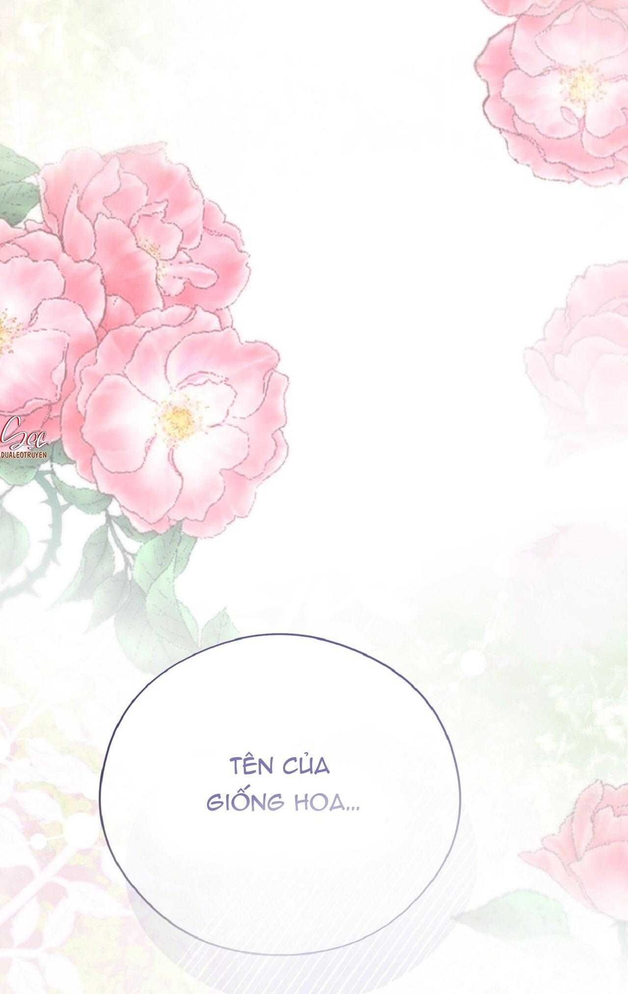 đọc truyện Honey Bear Chương 70 ảnh 97 tại Thiên Thai Truyện